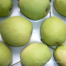 Fournir une nouvelle culture Shandong Pear